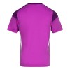 Maillot de Gardien Aberdeen 2025-26 Pour Homme